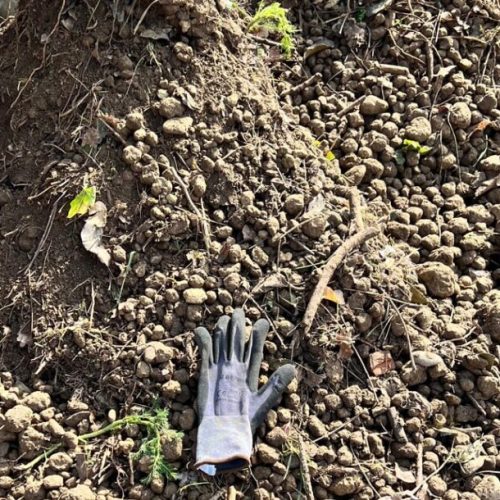 tromel-db70-excavacion